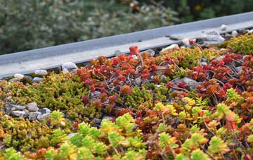 the cost of Bickley Town green roof installation