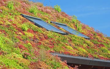 Bickley Town living roof systems