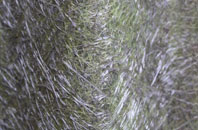 Bickley Town fibreglass roof work